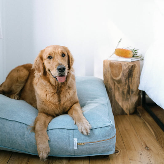 bonnie dog bed classic stone with dog laying down