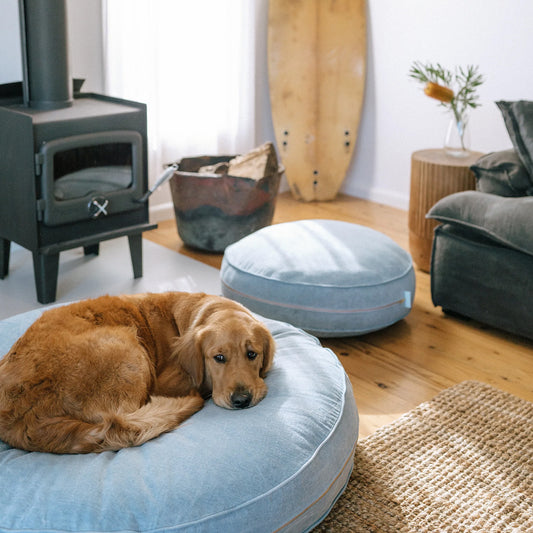 dog chilling on pippa classic stone bleached wash