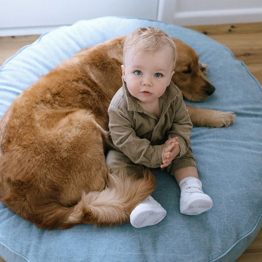 baby and dog relaxing on pippa classic stone bleached wash 