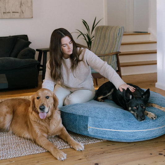 lounge room with the pippa classic stone bleached wash dog bed