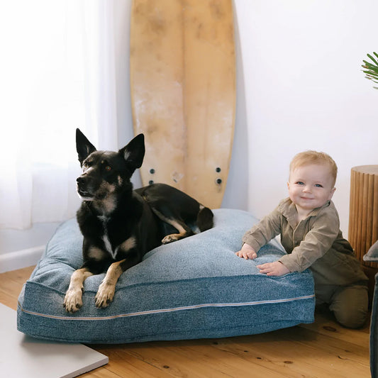 baby smiling with dog on bonnie indigo stone dog bed