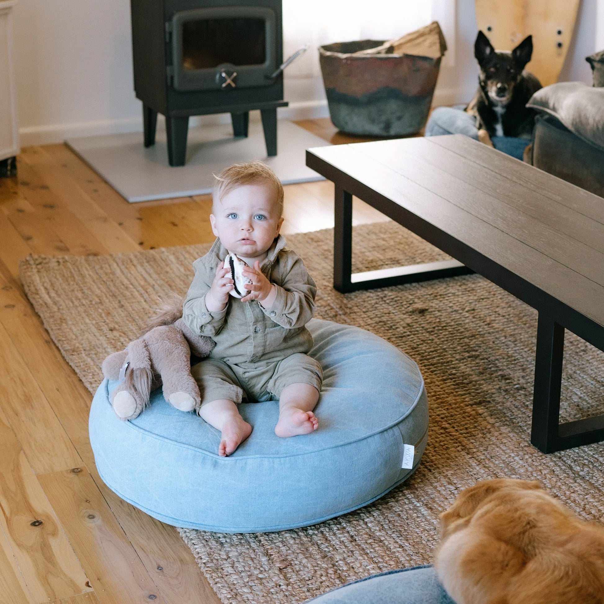 azure cushion in lounge room with dogs and baby