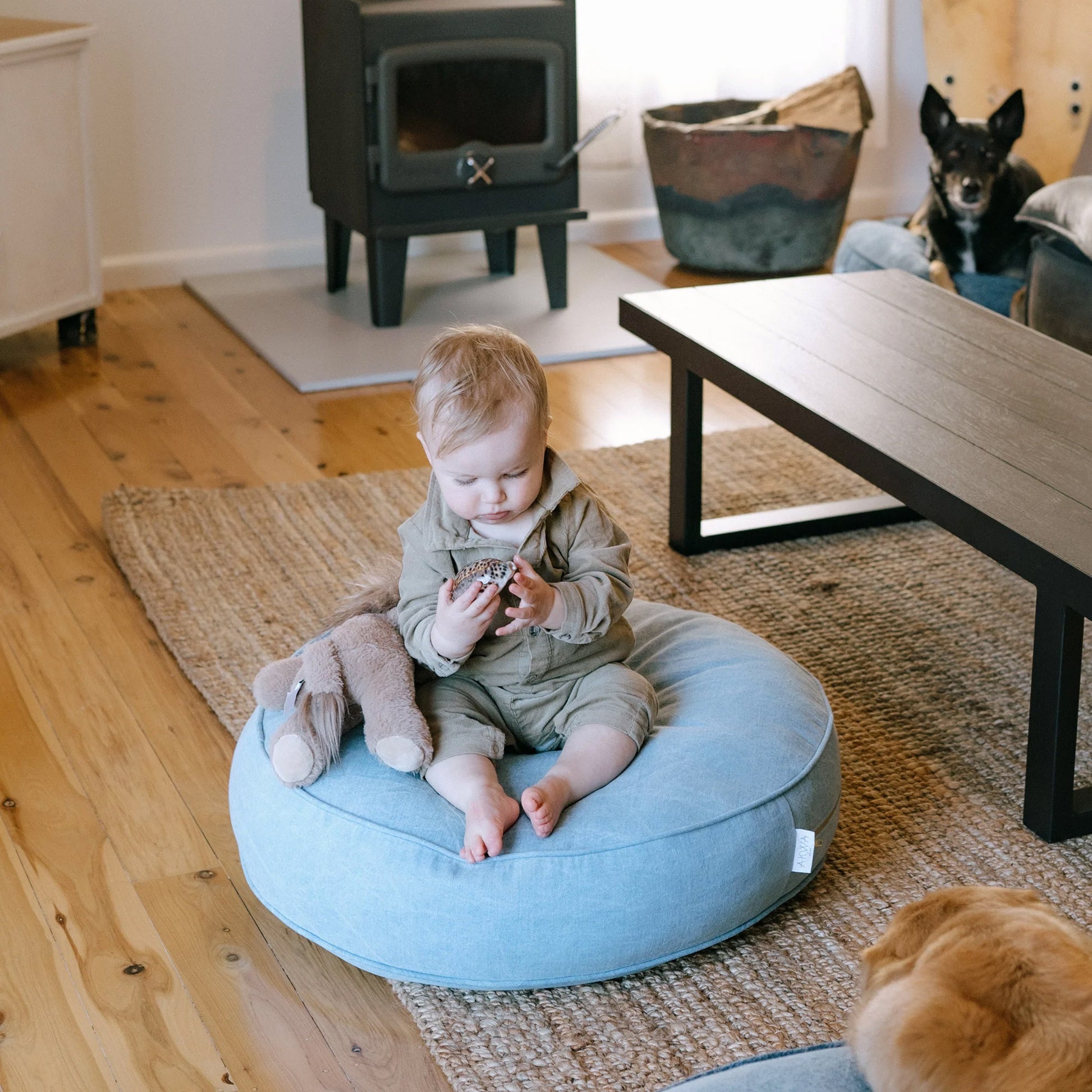 baby sitting on azure cushion in lounge room